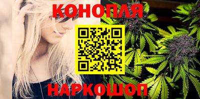 spice Дубна