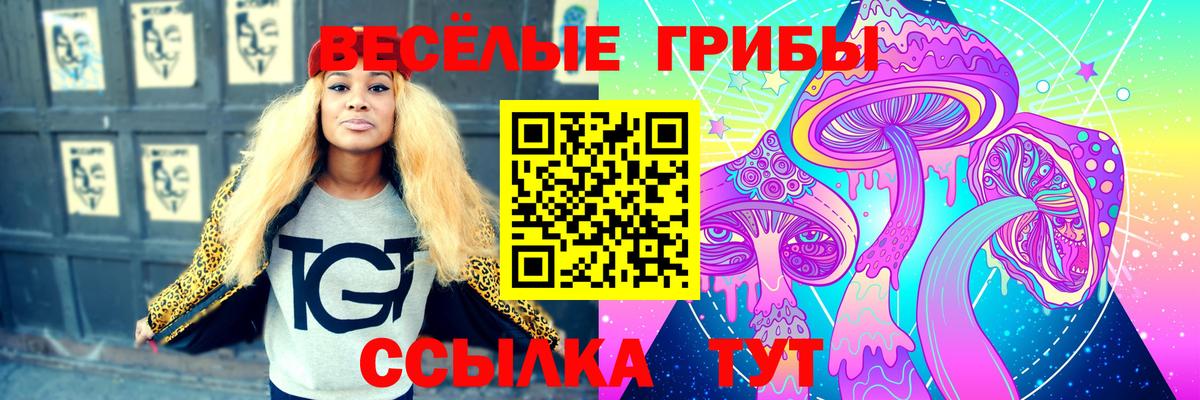 Псилоцибиновые грибы Magic Shrooms Чапаевск
